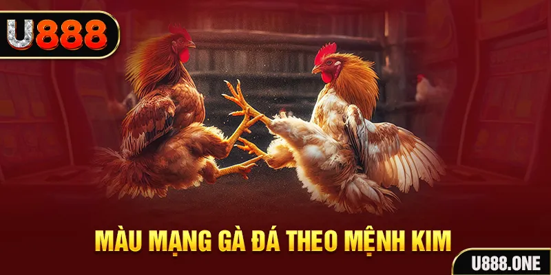 kubet11 gà chọi tiêu phong