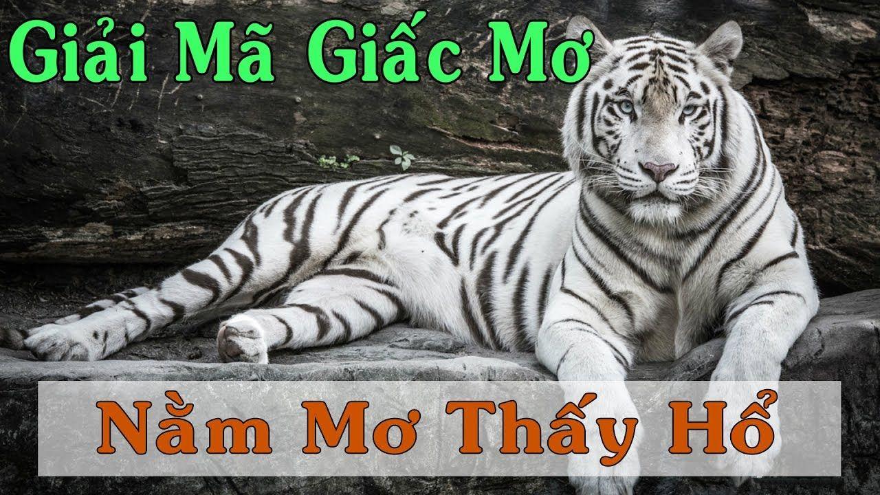kubet11 xổ số miền trung