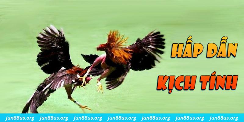 kubet11 bắn cá long vương