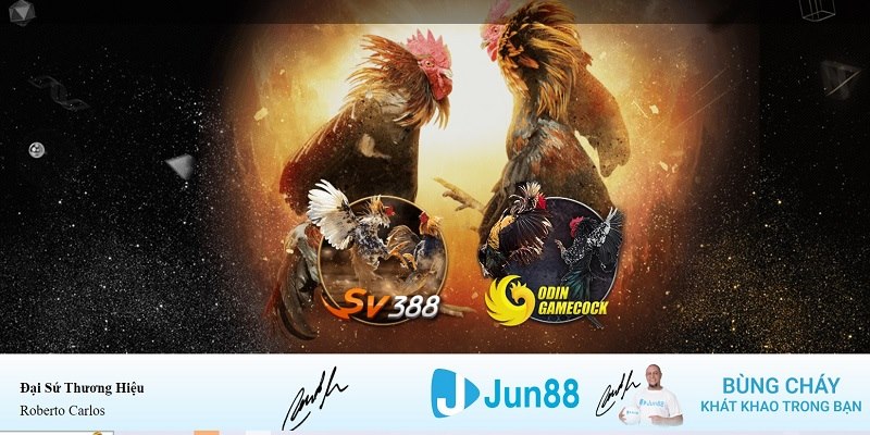 kubet11 xổ số miền nam hàng tuần