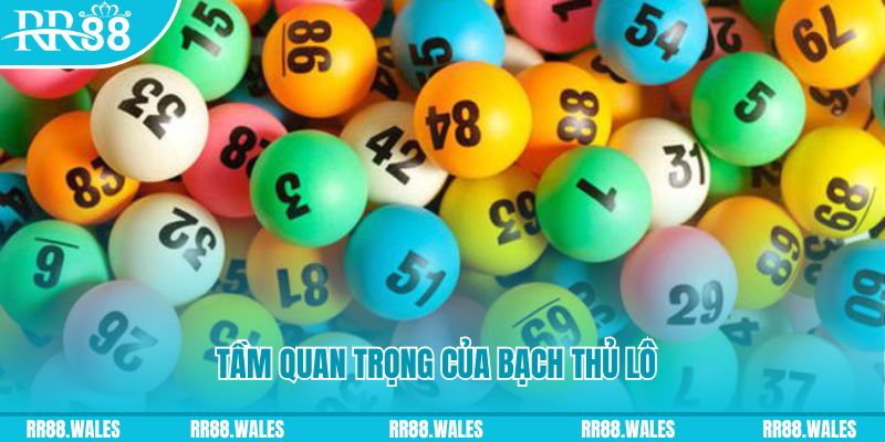 kubet11 Ws168 Đá Gà