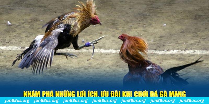kubet11 Tài Xỉu 2