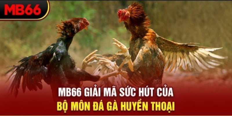 kubet11 long bảo trong baccarat là gì
