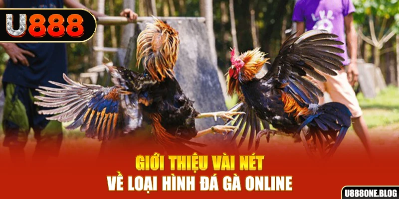 kubet11 xổ số miền nam thứ ba