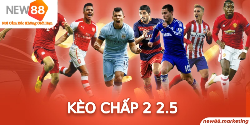 kubet11 trực tiếp đá gà thomo
