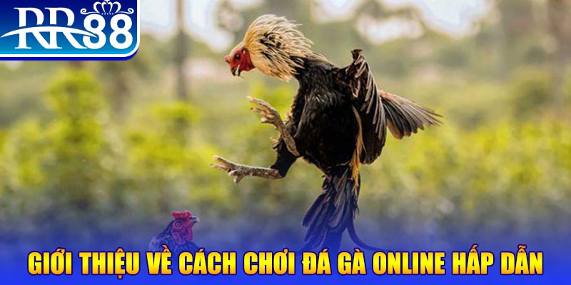 kubet11 nổ hũ 2 mặt là gì