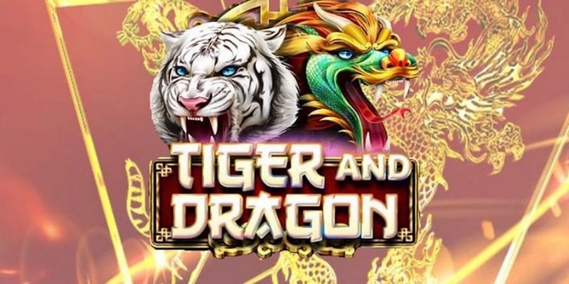 kubet11 cá cược tiếng anh là gì