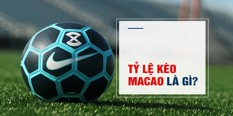 kubet11 Trăm Knorr